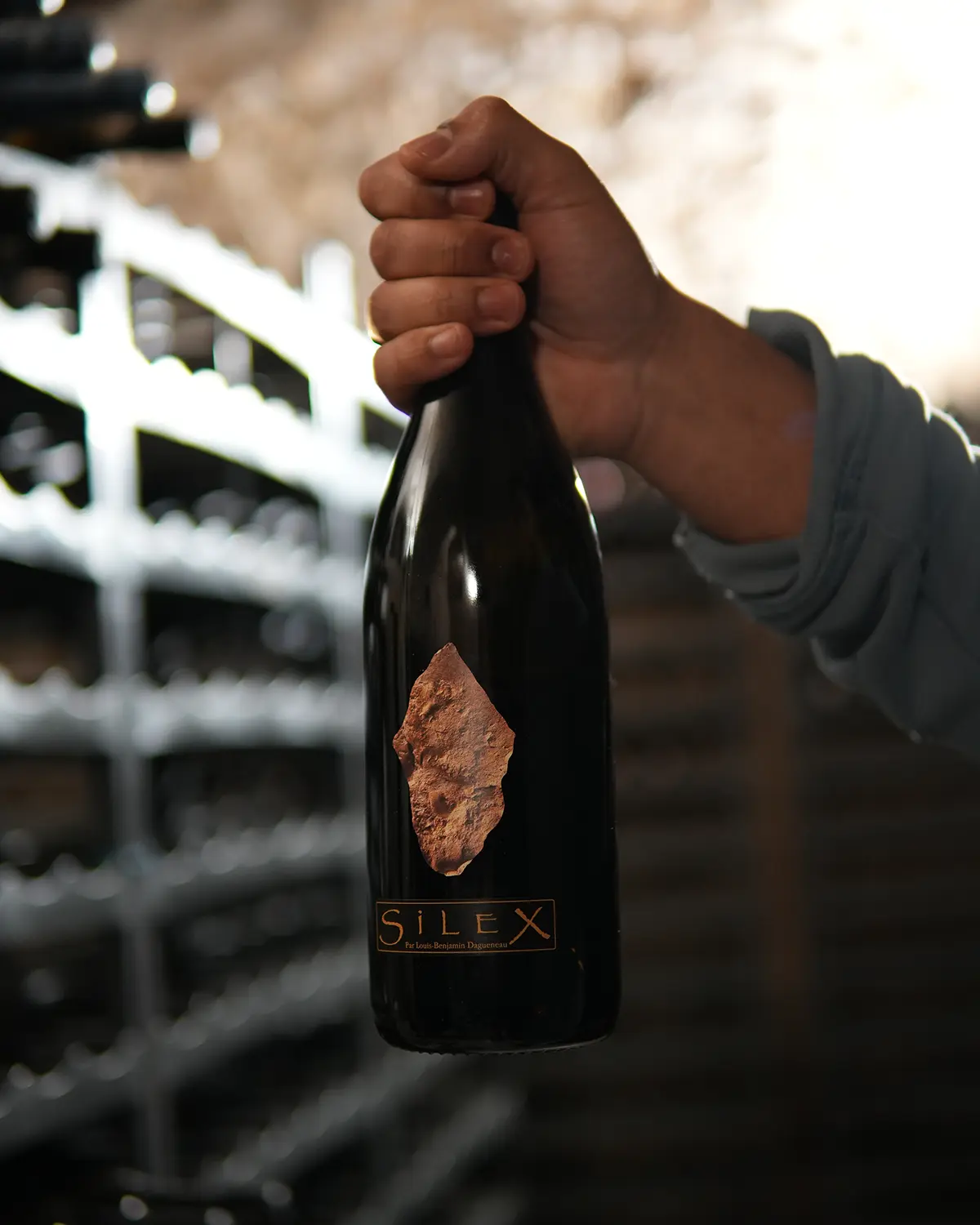 vin1